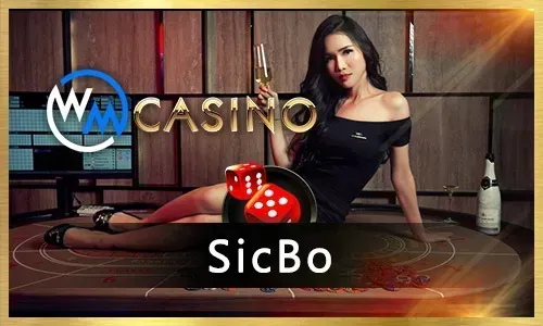 365ph Bingo Beginner Guide